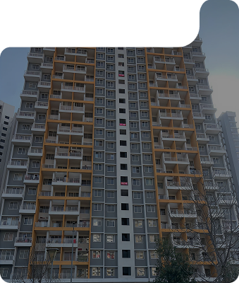 bg image